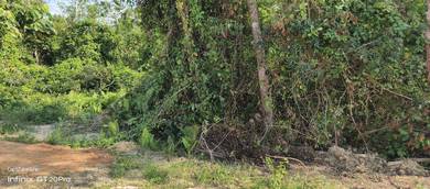 Tanah Pertanian Area Nyalas Jasin Melaka Utk Dijual