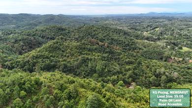 Palm Oil Land | 39.05 acres | Road Access | 10km From town | Membakut