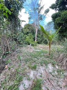 Agricultural-Land-for-sale-Kuala-Pilah-Negeri-Sembilan