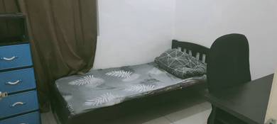 Oug parklane room For Rent