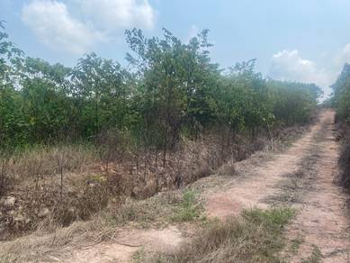 Tanah kosong bukit tanah merah segamat johor