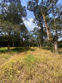 DURIAN Farm @ Parit sikom  pontian Johor 5.18acre @For Sales