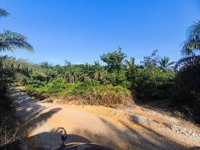 Agricultural-Land-for-sale-Kota-Tinggi-Johor