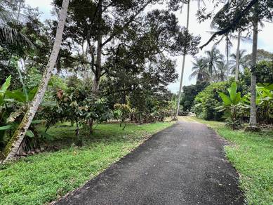 2 Tanah Dusun dan Sungai!! Sungai Lui Hulu Langat