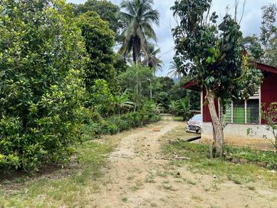 2 Tanah Dusun dan Sungai!! Sungai Lui Hulu Langat