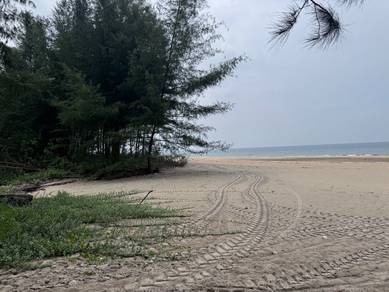 [MURAH! DEPAN PANTAI& TEPI JLN BESAR] Tanah 3 Ekar Sg Ular GOOD INVEST