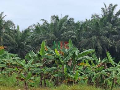 A piece of  NT land at Jalan Sin Sin, off KM87, Jalan Tawau- Semporna.