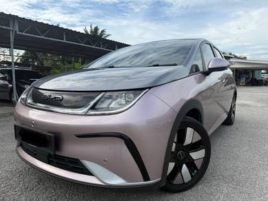 Byd DOLPHIN PREMIUM EXTENDED RANGE (A)