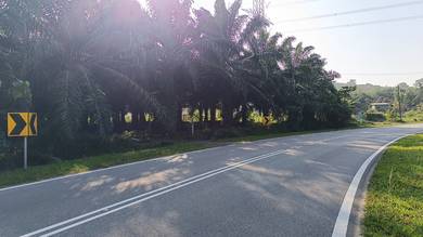 Agricultural-Land-for-sale-Kuala-Pilah-Negeri-Sembilan