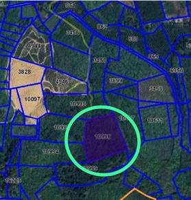 tanah pertanian untuk dijual 