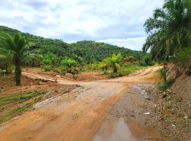 Kelantan Gua Musang Limau Kasturi 1051 Acres Palm Oil Land for SALE‼️