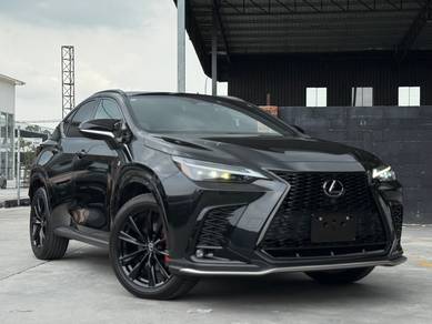 Lexus NX 350 2.4 F-SPORT AWD S/Roof Red Interior