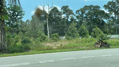 Pekan Nanas 6 Acre 20 years Durian Farm Beside Road Flat Land Rm16 psf