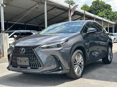 Lexus NX 250 2.5 VERSION L
