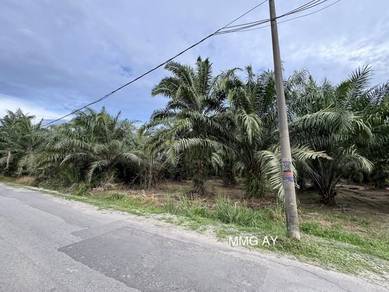 Beside Road Telok Panglima Garang Industrial Land 5 Acre Freehold Sale