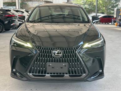 Lexus NX 250 2.5 BASE GRADE (A)