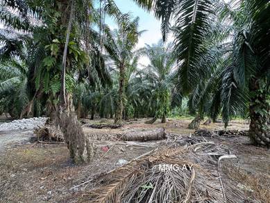 Telok Panglima Garang 5 Acre Converted Medium Industrial Land