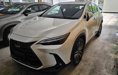 Lexus NX 250 2.5 LUXURY 5A GRADE 28K KM