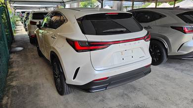 Lexus NX 250 2.5 LUXURY 5A GRADE 28K KM