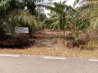 tanah sawit untuk dijual di parit wer, teluk kerang, pontian