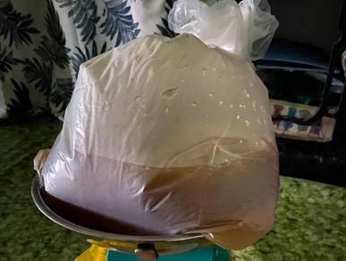madu lebah asli 