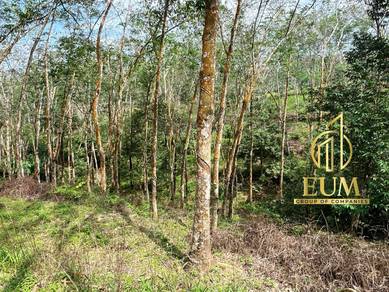 Freehold Agricultural Land Rubber Trees Kuala Pilah Negeri Sembilan