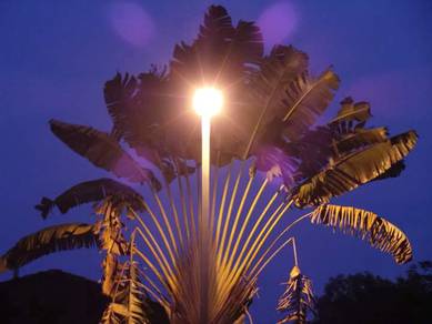 College Heights Gated Resort Twin land for Sale 5 min to Eco majestic