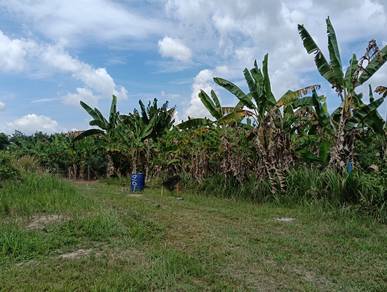 Land-for-sale-Kuala-Pilah-Negeri-Sembilan