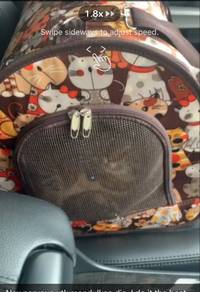 WTS : Portable Pet Cat Carrier Bag Travel Backpack