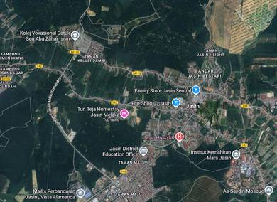 223 Acres Freehold Non Bumi Oil Palm Plantation Tanah Sawit in Jasin