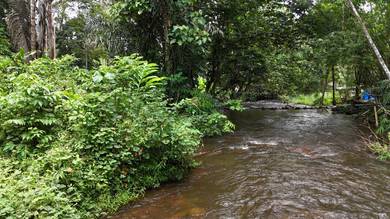 Freehold Land in Hulu Pangsoon Hulu Langat For Sale - Ada Sungai