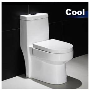 Premium Toilet Bowl