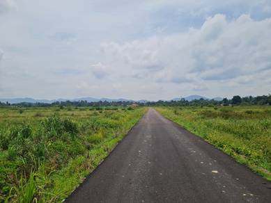 Tanah SAWAH AIR PUTEH KEMAMAN 1.9EK