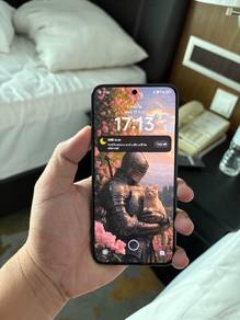 Xiaomi 13 12/256