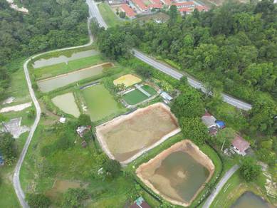 Sewaan 8 Kolam Ternakan Ikan di Ulu Yam Dekat Sekolah Sains Hulu Slgor
