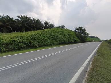 For Sale 250 acres Agricultural land Sengkang Kulai @ Johor