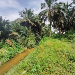Tanah Pegangan Bebas Rezab Melayu Di Kg Jenderam Hulu Untuk Dijual