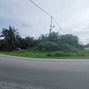 Freehold Open Title Agriculture Land In Banting For Sale