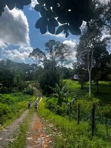Durian Land | Membakut | For Sale