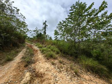 9.8 Acres Hilly Freehold Agriculture Land Ulu Lepar Gali Raub