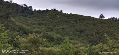 Tanah kosong lereng bukit