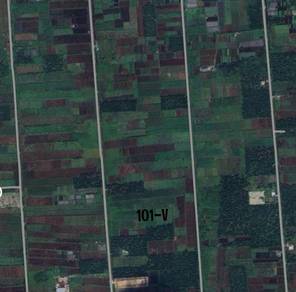 Below Market🔥Johan Setia Klang Sijangkang【2Acre Agriculture Land】Sale