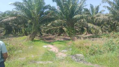 Land-for-sale-Ayer-Baloi-Johor