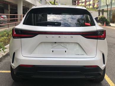 Lexus NX 250 2.5 LUXURY (A)