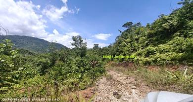 Sipitang Mesapol (Bukit) Vacant Agriculture Land CL11acs