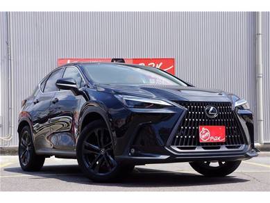 Lexus NX 250 2.5 LUXURY (A)