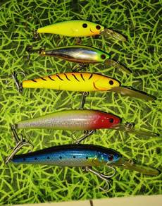 lure