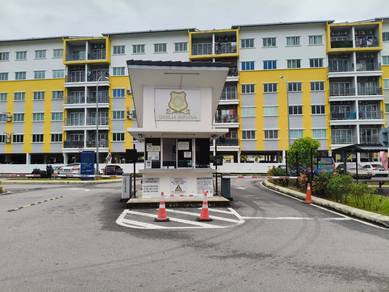 LEVEL 1 LIFT MURAH [DAHLIA IMPIANA] Salak Tinggi Sepang