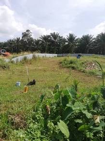 Broga Freehold Land For Sale