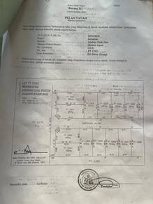Tanah Murah Pasir Mas , Kampung Gual Mesa